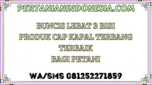 Buncis Lebat 3 Bisi Produk Cap Kapal Terbang Terbaik Bagi Petani