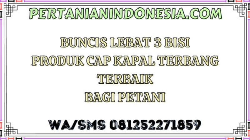 Buncis Lebat 3 Bisi Produk Cap Kapal Terbang Terbaik Bagi Petani