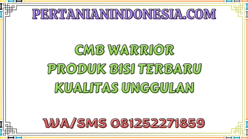 CMB Warrior Produk Bisi Terbaru Kualitas Unggulan