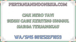 CMK Nero Tavi Benih Cabe Keriting Unggul Harga Terjangkau