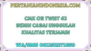 CMK OR Twist 42 Benih Cabai Unggulan Kualitas Terjamin