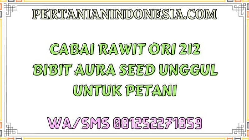 Cabai Rawit Ori 212 Bibit Aura Seed Unggul Untuk Petani