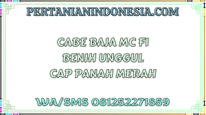 Cabe Baja MC F1 Benih Unggul Cap Panah Merah