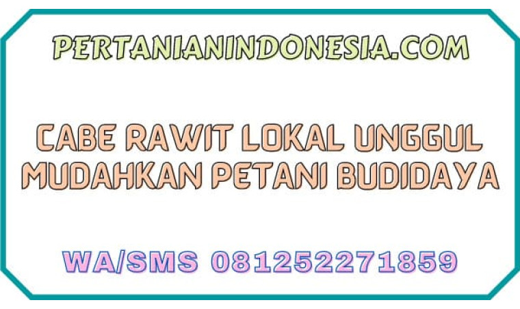 Cabe Rawit Lokal Unggul Mudahkan Petani Cabai Budidaya