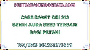 Cabe Rawit Ori 212 Benih Aura Seed Terbaik Bagi Petani