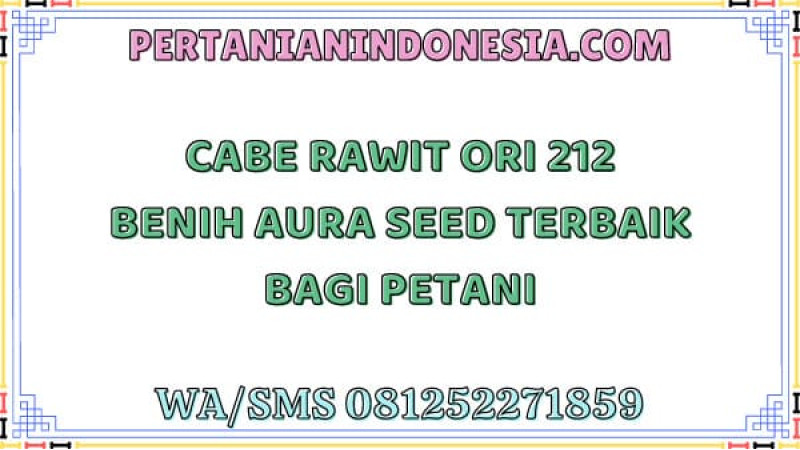 Cabe Rawit Ori 212 Benih Aura Seed Terbaik Bagi Petani