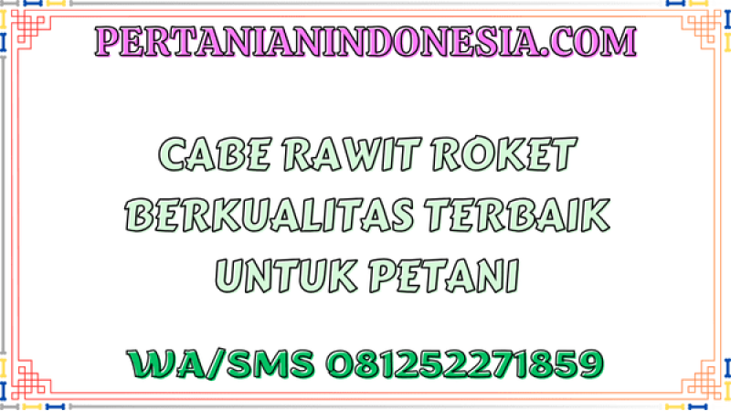 Cabe Rawit Roket Berkualitas Terbaik Untuk Petani