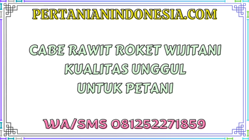 Cabe Rawit Roket Wijitani Kualitas Unggul Untuk Petani