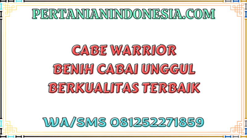 Cabe Warrior Benih Cabai Unggul Berkualitas Terbaik