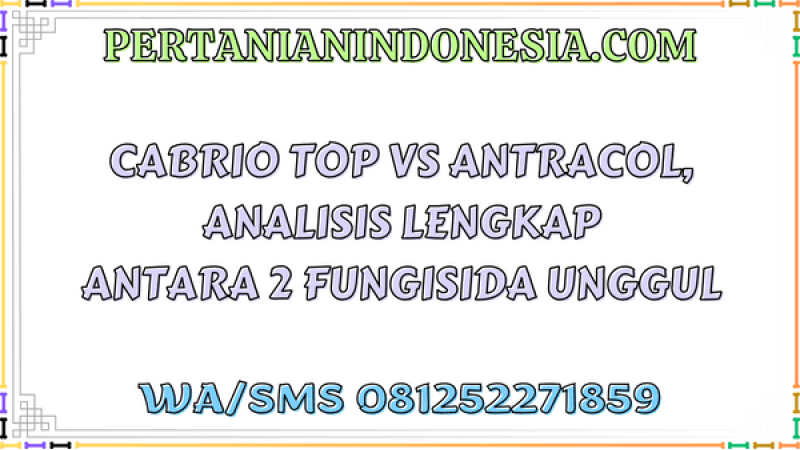 Cabrio Top VS Antracol, Analisis Lengkap Antara 2 Fungisida Unggul
