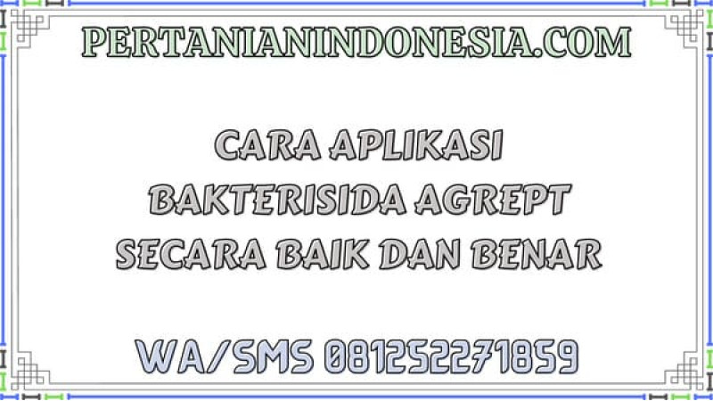 Cara Aplikasi Bakterisida Agrept Secara Baik Dan Benar