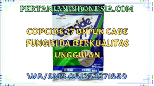 Copcide 77 Untuk Cabe Fungisida Berkualitas Unggulan
