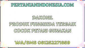 Dakonil Produk Fungisida Terbaik Cocok Petani Gunakan