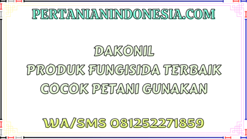 Dakonil Produk Fungisida Terbaik Cocok Petani Gunakan