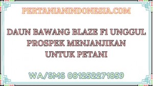 Daun Bawang Blaze F1 Unggul Prospek Menjanjikan Untuk Petani