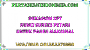 Dekamon ZPT Kunci Sukses Petani Untuk Panen Maksimal