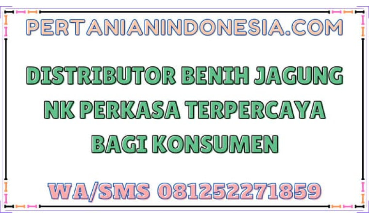 Distributor Benih Jagung NK Perkasa Terpercaya Bagi Konsumen