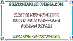 Elestal Neo Syngenta Insektisida Unggulan Pilihan Petani