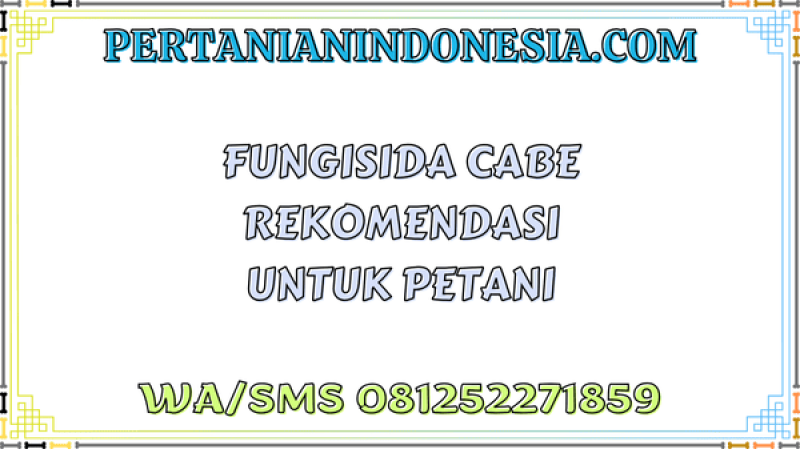 Fungisida Cabe Rekomendasi Untuk Petani
