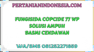 Fungisida Copcide 77 WP Solusi Ampuh Basmi Cendawan