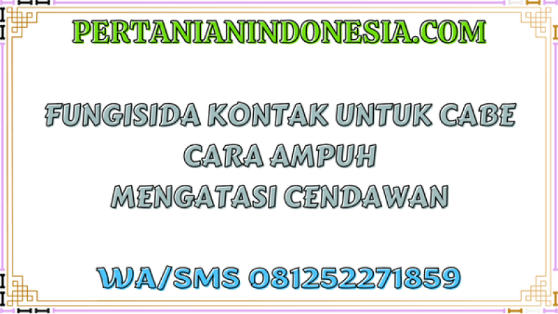 Fungisida Kontak Untuk Cabe Cara Ampuh Mengatasi Cendawan