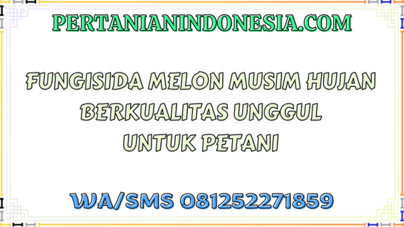 Fungisida Melon Musim Hujan Berkualitas Unggul Untuk Petani