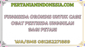 Fungisida Orondis Untuk Cabe Obat Pestisida Unggulan Bagi Petani