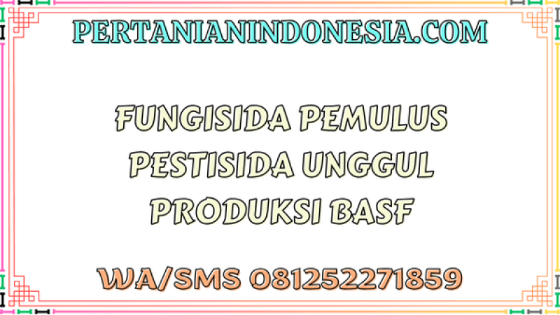 Fungisida Pemulus Pestisida Unggul Produksi BASF