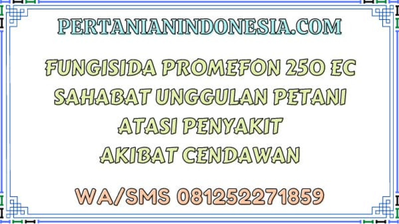 Fungisida Promefon 250 EC Sahabat Unggulan Petani Atasi Penyakit Akibat Cendawan