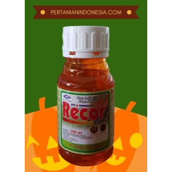 Fungisida Recor 250 EC