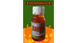 Fungisida Recor 250 EC