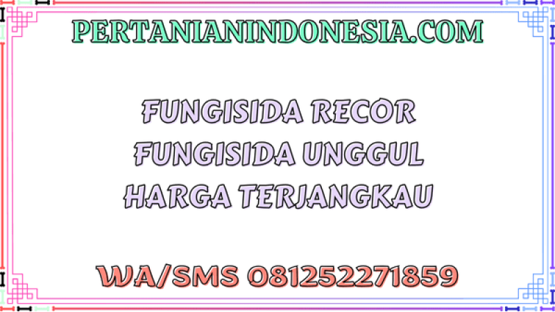 Fungisida Recor Fungisida Unggul Harga Terjangkau