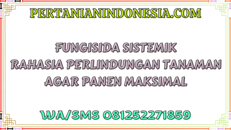 Fungisida Sistemik Rahasia Perlindungan Tanaman Agar Panen Maksimal