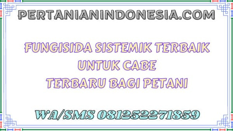 Fungisida Sistemik Terbaik Untuk Cabe Terbaru Bagi Petani