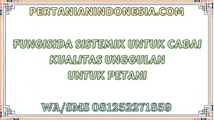 Fungisida Sistemik Untuk Cabai Kualitas Unggulan Untuk Petani