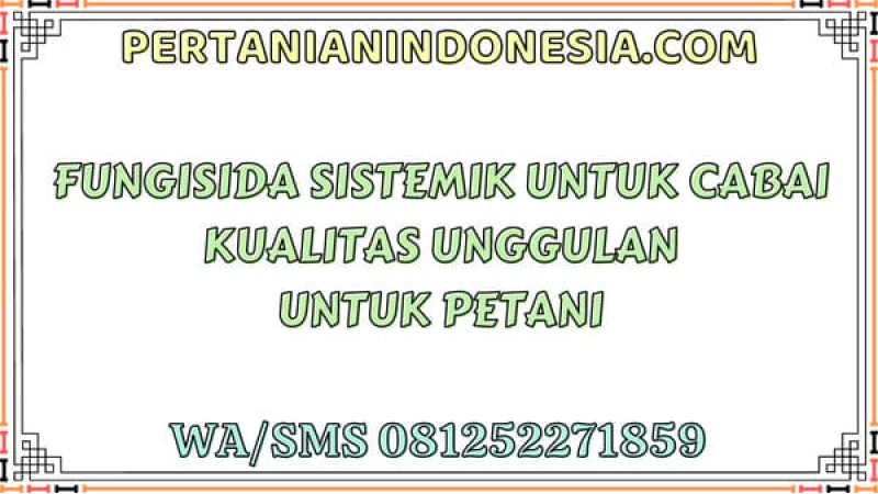Fungisida Sistemik Untuk Cabai Kualitas Unggulan Untuk Petani