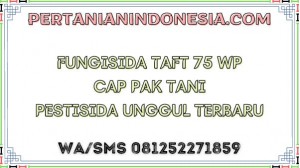Fungisida Taft 75 WP Cap Pak Tani Pestisida Unggul Terbaru
