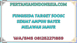 Fungisida Target 500SC Senjata Ampuh Bayer Melawan Jamur