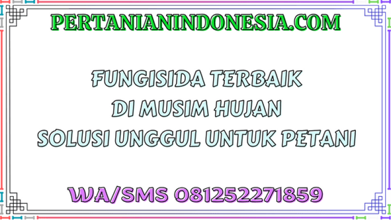 Fungisida Terbaik Di Musim Hujan Solusi Unggul Untuk Petani