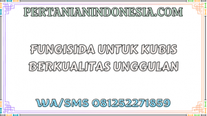Fungisida Untuk Kubis Berkualitas Unggulan