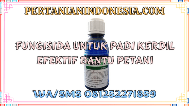 Fungisida Untuk Padi Kerdil Efektif Bantu Petani