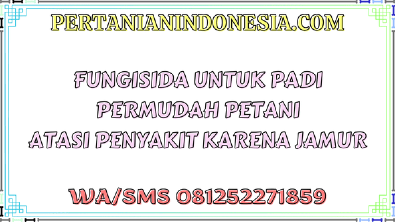 Fungisida Untuk Padi Permudah Petani Atasi Penyakit Karena Jamur