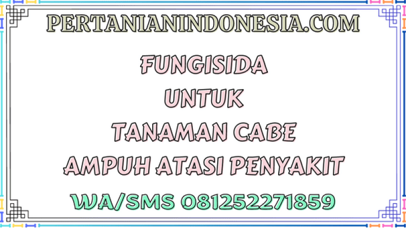 Fungisida Untuk Tanaman Cabe Ampuh Atasi Penyakit