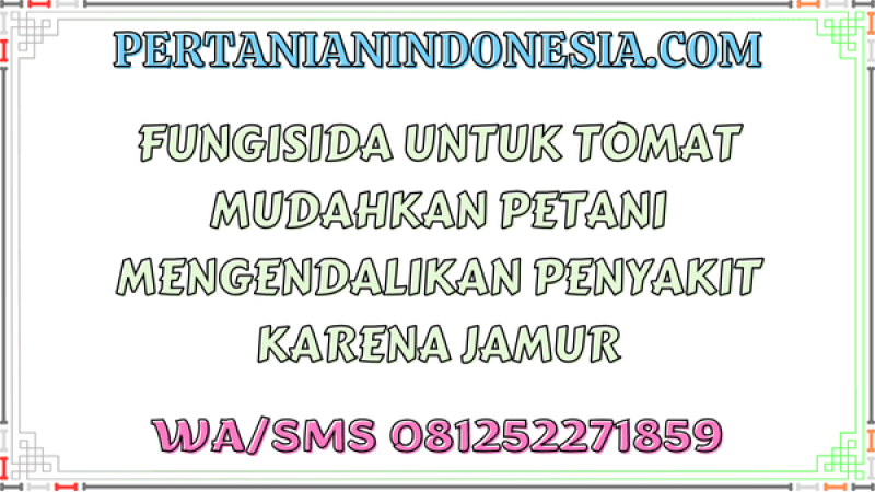 Fungisida Untuk Tomat Mudahkan Petani Mengendalikan Penyakit Karena Jamur