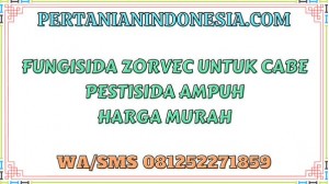 Fungisida Zorvec Untuk Cabe Pestisida Ampuh Harga Murah