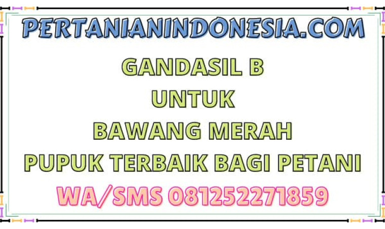 Gandasil B Untuk Bawang Merah Pupuk Terbaik Bagi Petani