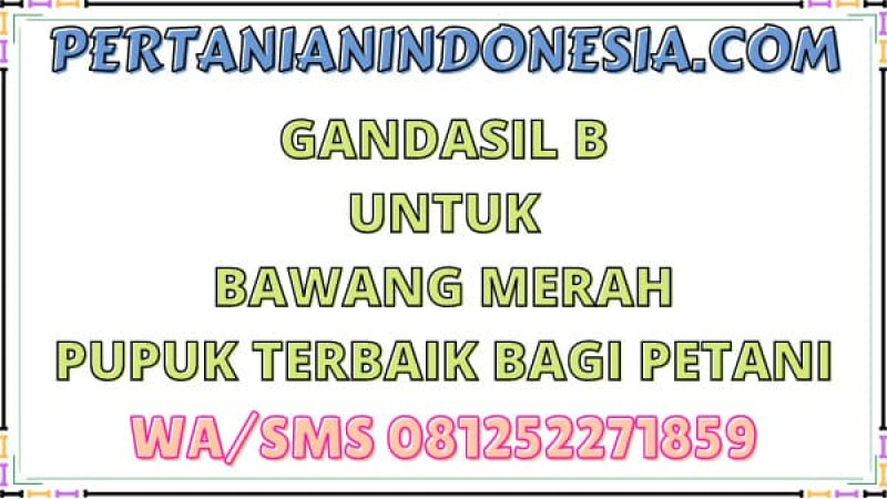 Gandasil B Untuk Bawang Merah Pupuk Terbaik Bagi Petani