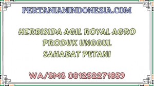 Herbisida Agil Royal Agro Produk Unggul Sahabat Petani