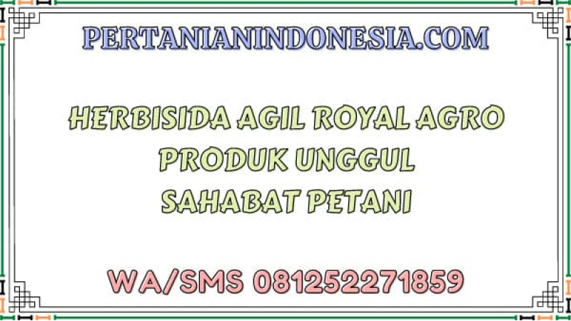 Herbisida Agil Royal Agro Produk Unggul Sahabat Petani