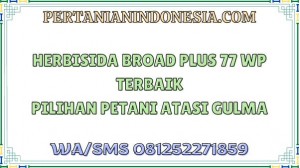 Herbisida Broad Plus 77 WP Terbaik Pilihan Petani Atasi Gulma